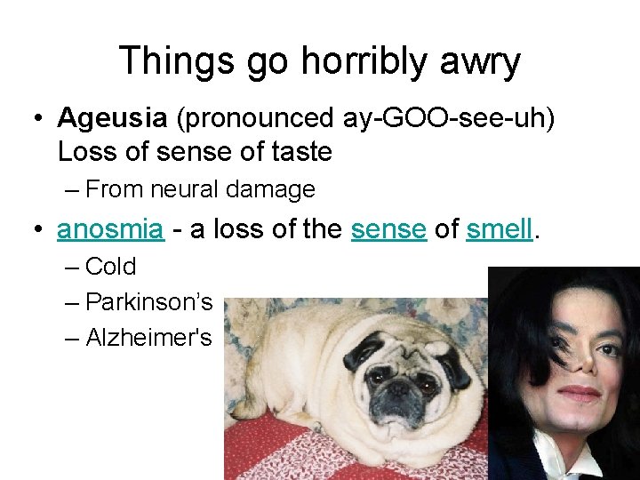 Things go horribly awry • Ageusia (pronounced ay-GOO-see-uh) Loss of sense of taste –