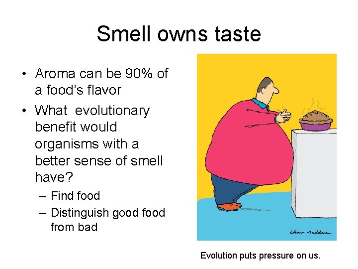 Smell owns taste • Aroma can be 90% of a food’s flavor • What