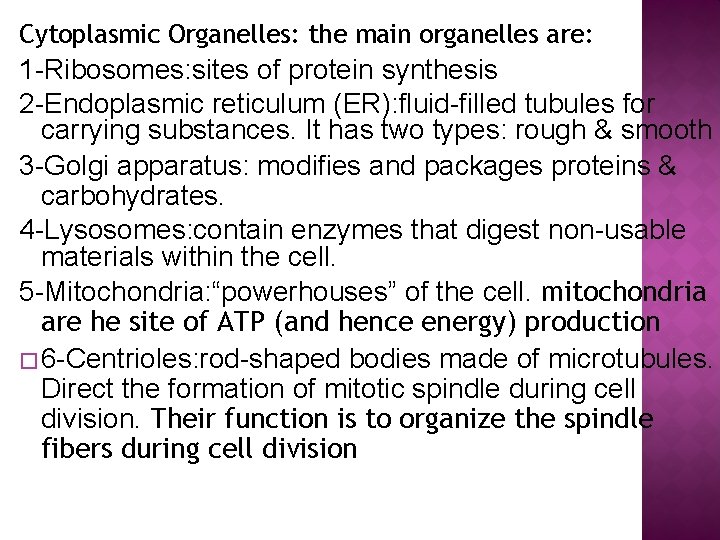 Cytoplasmic Organelles: the main organelles are: 1 -Ribosomes: sites of protein synthesis 2 -Endoplasmic