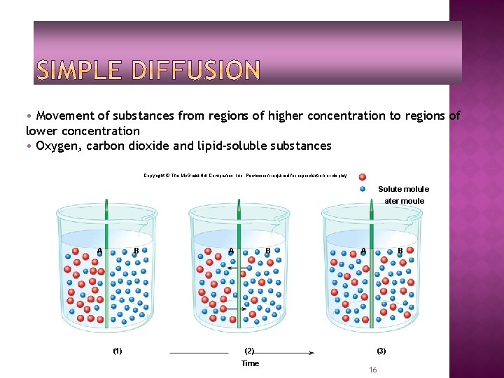  • Movement of substances from regions of higher concentration to regions of lower