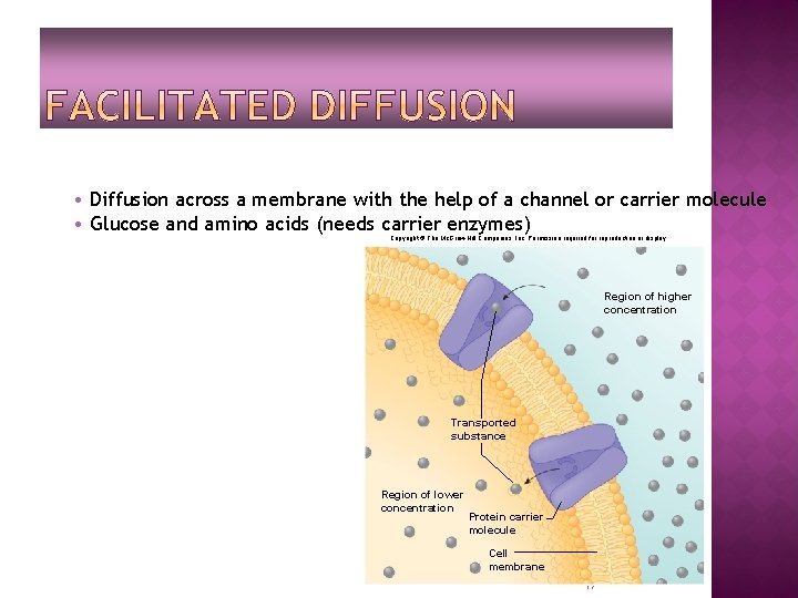  • Diffusion across a membrane with the help of a channel or carrier