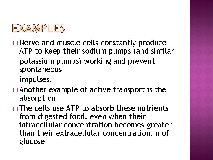 � Nerve and muscle cells constantly produce ATP to keep their sodium pumps (and