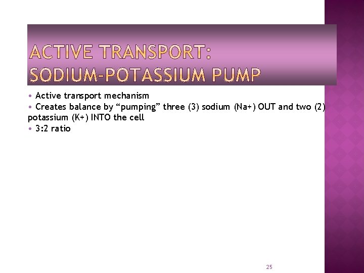  • Active transport mechanism • Creates balance by “pumping” three (3) sodium (Na+)