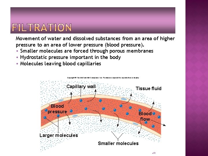 Movement of water and dissolved substances from an area of higher pressure to an