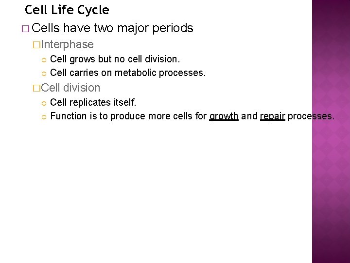 Cell Life Cycle � Cells have two major periods �Interphase Cell grows but no