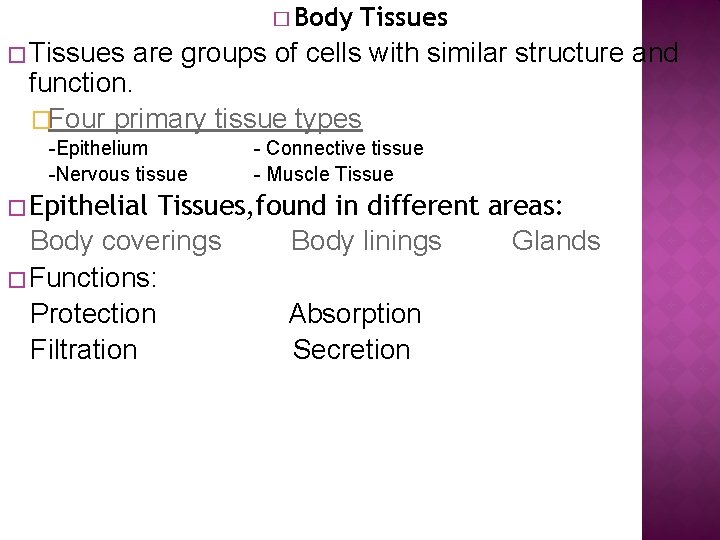 � Body Tissues � Tissues are groups of cells with similar structure and function.