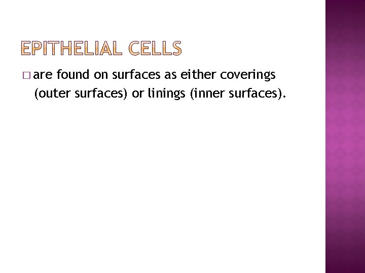 � are found on surfaces as either coverings (outer surfaces) or linings (inner surfaces).