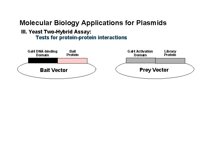 Molecular Biology Applications for Plasmids III. Yeast Two-Hybrid Assay: Tests for protein-protein interactions Gal