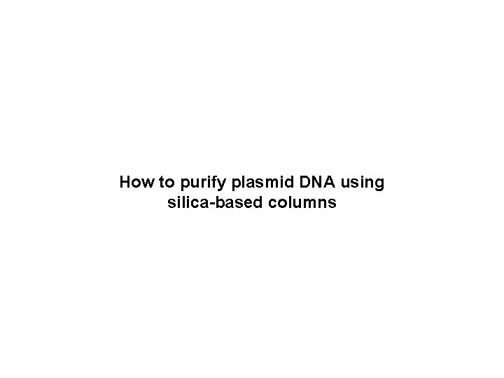 How to purify plasmid DNA using silica-based columns 