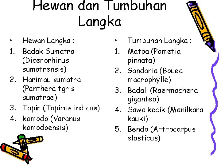 Hewan dan Tumbuhan Langka • 1. Hewan Langka : Badak Sumatra (Dicerorhinus sumatrensis) 2.