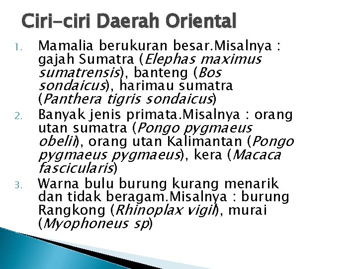 Ciri-ciri Daerah Oriental 1. 2. 3. Mamalia berukuran besar. Misalnya : gajah Sumatra (Elephas