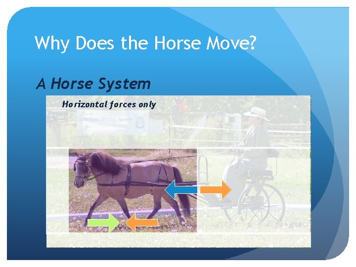 Why Does the Horse Move? A Horse System Horizontal forces only 