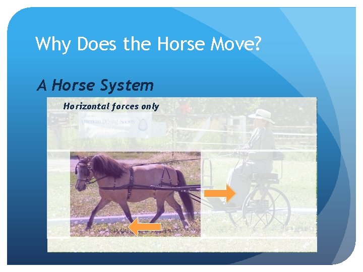Why Does the Horse Move? A Horse System Horizontal forces only 