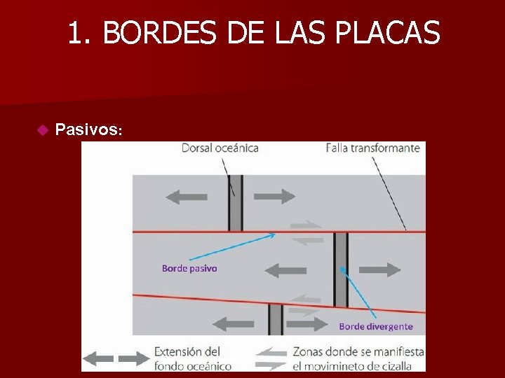 1. BORDES DE LAS PLACAS Pasivos: 