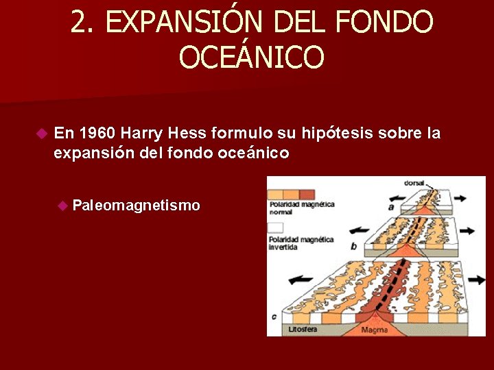 2. EXPANSIÓN DEL FONDO OCEÁNICO En 1960 Harry Hess formulo su hipótesis sobre la