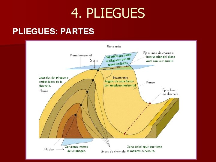 4. PLIEGUES: PARTES 
