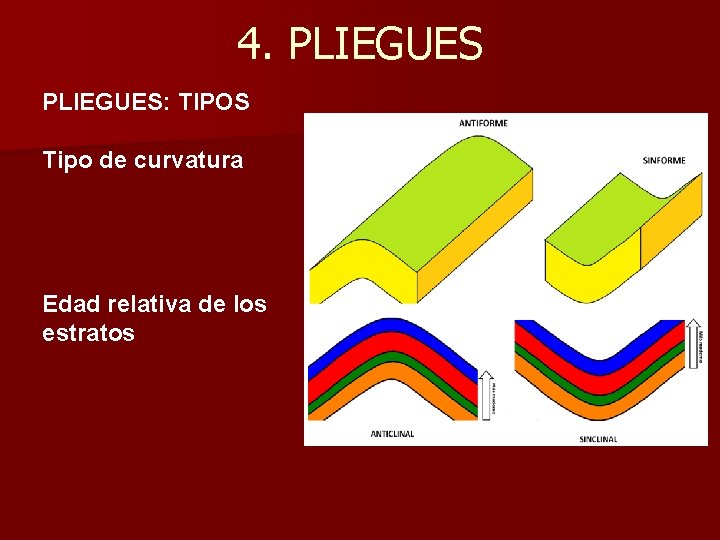 4. PLIEGUES: TIPOS Tipo de curvatura Edad relativa de los estratos 