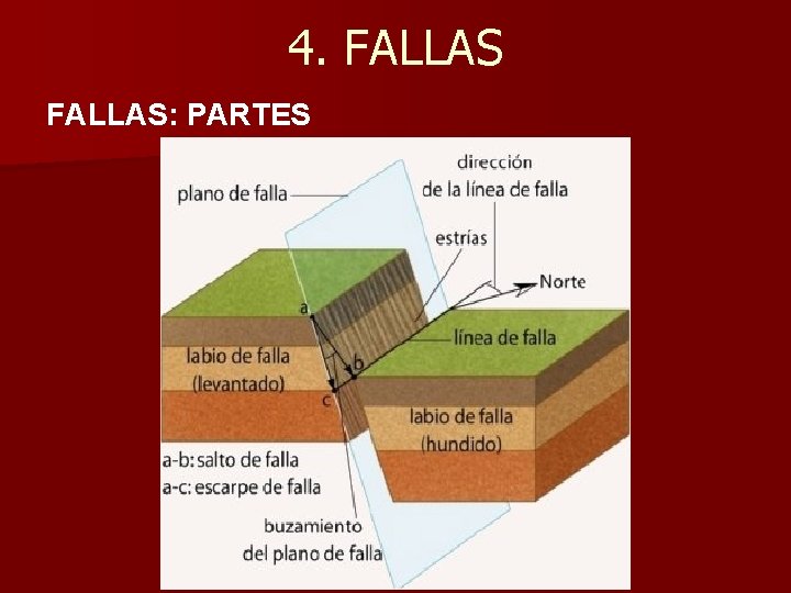 4. FALLAS: PARTES 