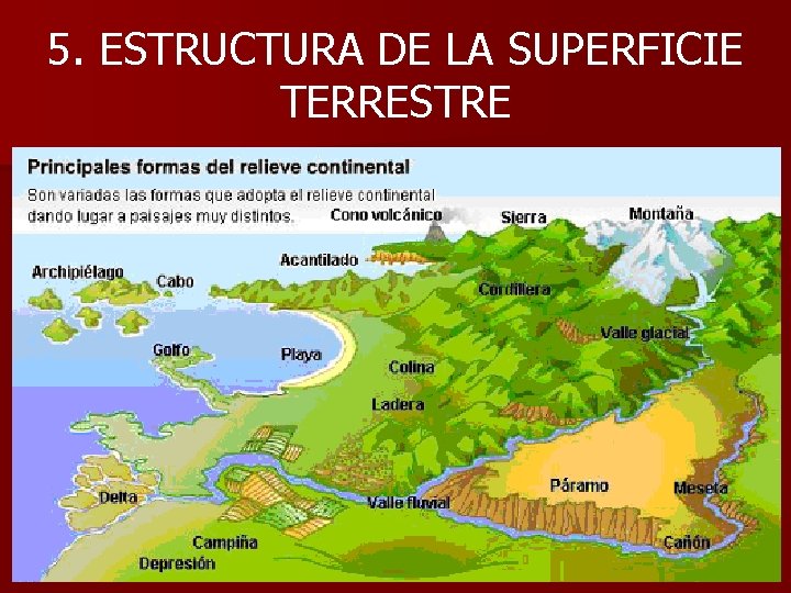 5. ESTRUCTURA DE LA SUPERFICIE TERRESTRE 