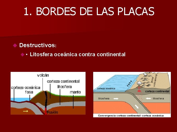 1. BORDES DE LAS PLACAS Destructivos: • Litosfera oceánica contra continental 