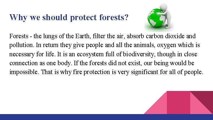 Why we should protect forests? Forests - the lungs of the Earth, filter the
