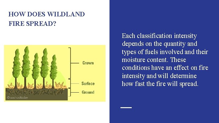 HOW DOES WILDLAND FIRE SPREAD? Each classification intensity depends on the quantity and types