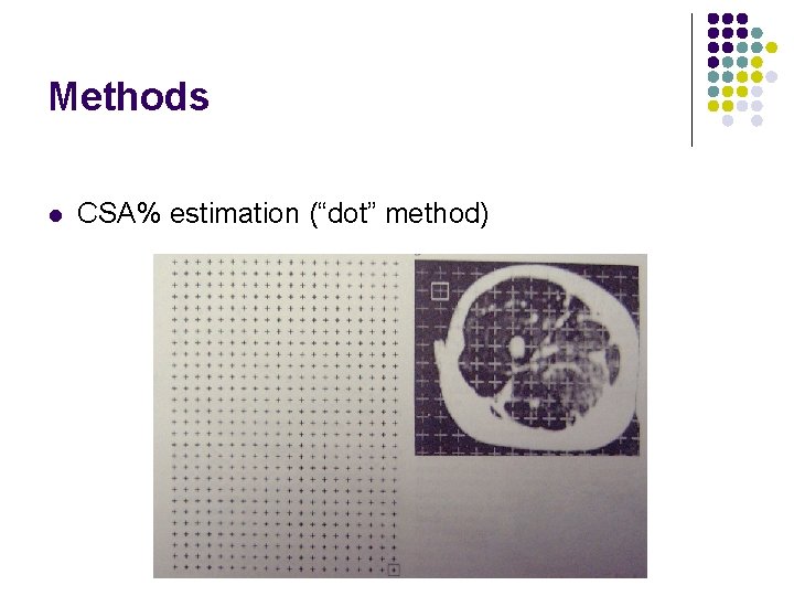 Methods l CSA% estimation (“dot” method) 