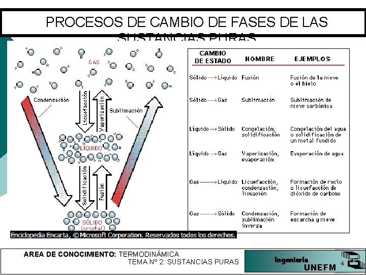 PROCESOS DE CAMBIO DE FASES DE LAS SUSTANCIAS PURAS AREA DE CONOCIMIENTO: TERMODINÁMICA TEMA