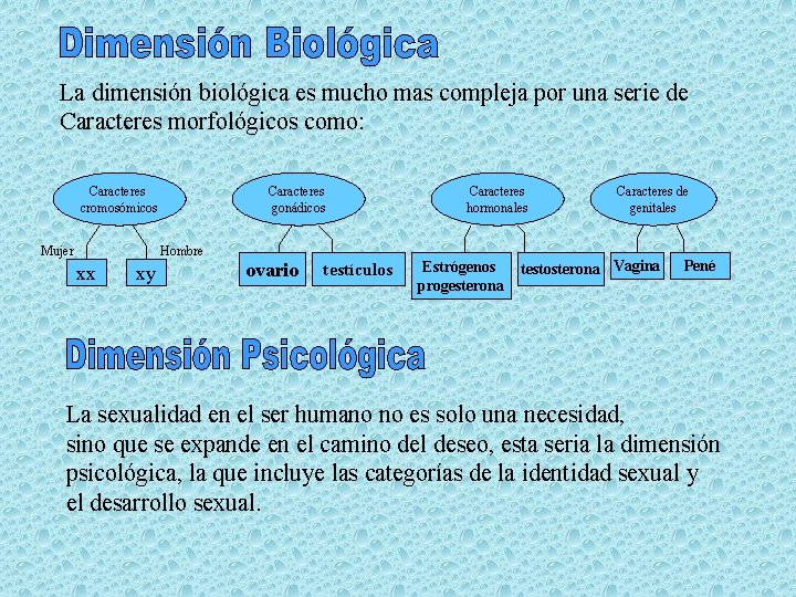 La dimensión biológica es mucho mas compleja por una serie de Caracteres morfológicos como: