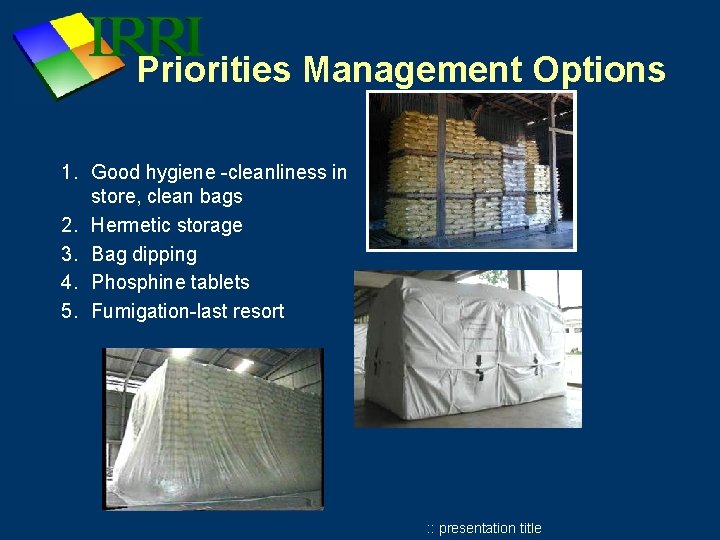 Priorities Management Options 1. Good hygiene -cleanliness in store, clean bags 2. Hermetic storage Priorities Management Options 1. Good hygiene -cleanliness in store, clean bags 2. Hermetic storage