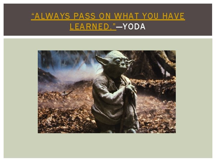 “ALWAYS PASS ON WHAT YOU HAVE LEARNED. ”—YODA 