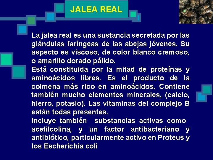 JALEA REAL La jalea real es una sustancia secretada por las glándulas faríngeas de