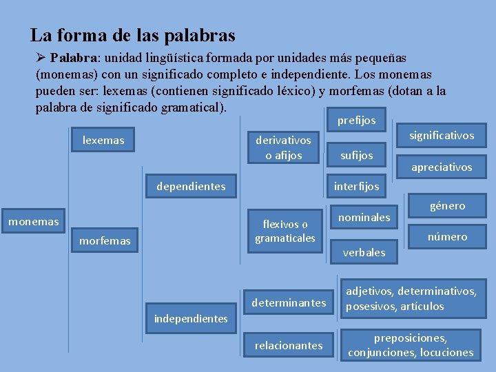 La forma de las palabras Ø Palabra: unidad lingüística formada por unidades más pequeñas