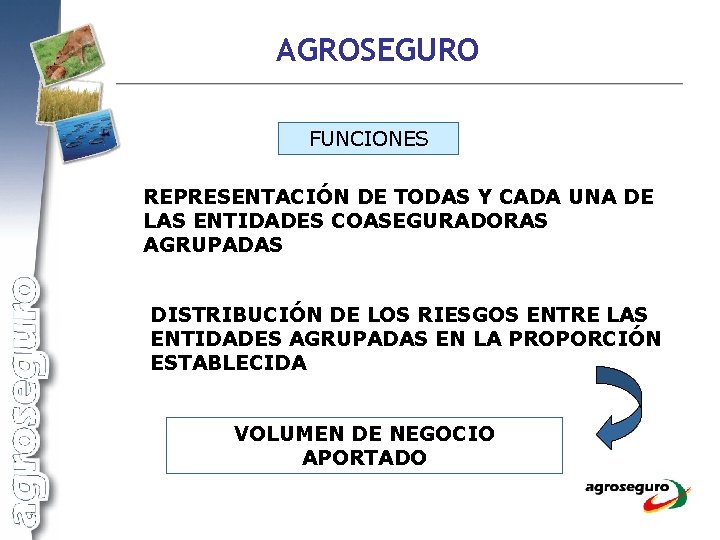 AGROSEGURO FUNCIONES REPRESENTACIÓN DE TODAS Y CADA UNA DE LAS ENTIDADES COASEGURADORAS AGRUPADAS DISTRIBUCIÓN