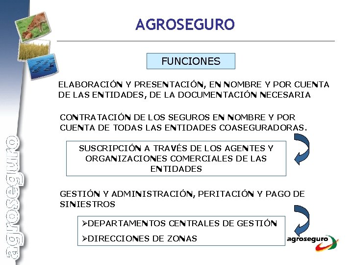 AGROSEGURO FUNCIONES ELABORACIÓN Y PRESENTACIÓN, EN NOMBRE Y POR CUENTA DE LAS ENTIDADES, DE
