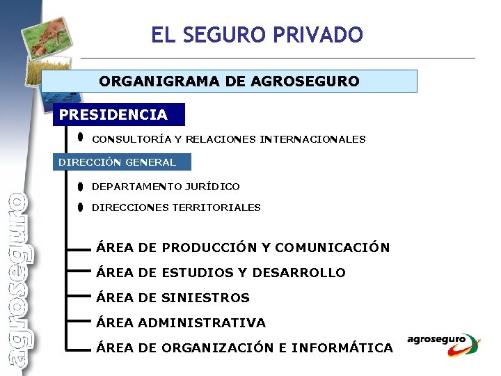 EL SEGURO PRIVADO ORGANIGRAMA DE AGROSEGURO PRESIDENCIA CONSULTORÍA Y RELACIONES INTERNACIONALES DIRECCIÓN GENERAL DEPARTAMENTO