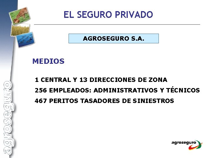 EL SEGURO PRIVADO AGROSEGURO S. A. MEDIOS 1 CENTRAL Y 13 DIRECCIONES DE ZONA