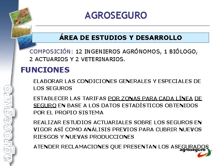 AGROSEGURO ÁREA DE ESTUDIOS Y DESARROLLO COMPOSICIÓN: 12 INGENIEROS AGRÓNOMOS, 1 BIÓLOGO, 2 ACTUARIOS