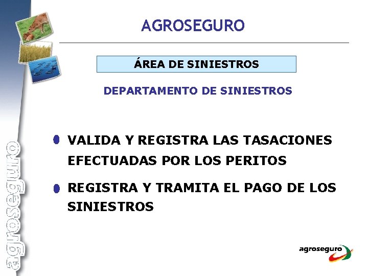 AGROSEGURO ÁREA DE SINIESTROS DEPARTAMENTO DE SINIESTROS VALIDA Y REGISTRA LAS TASACIONES EFECTUADAS POR