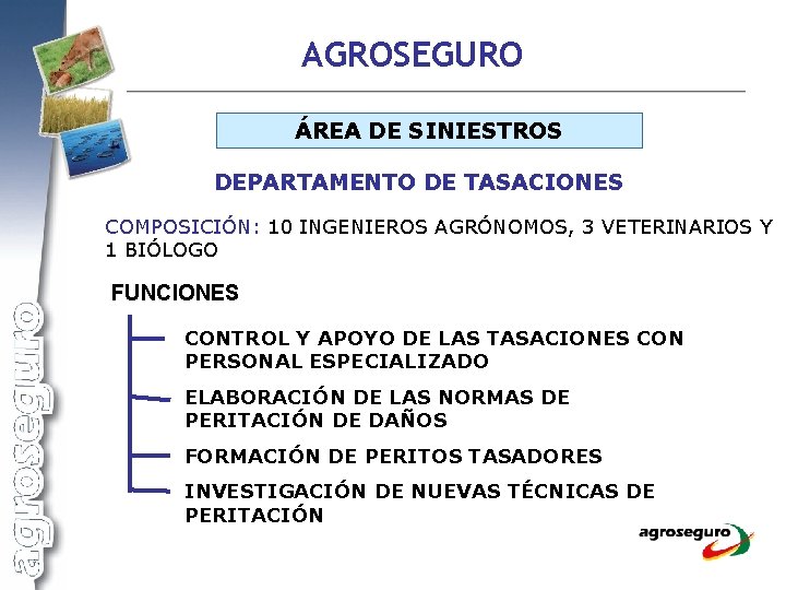 AGROSEGURO ÁREA DE SINIESTROS DEPARTAMENTO DE TASACIONES COMPOSICIÓN: 10 INGENIEROS AGRÓNOMOS, 3 VETERINARIOS Y