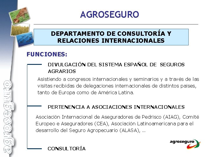 AGROSEGURO DEPARTAMENTO DE CONSULTORÍA Y RELACIONES INTERNACIONALES FUNCIONES: DIVULGACIÓN DEL SISTEMA ESPAÑOL DE SEGUROS