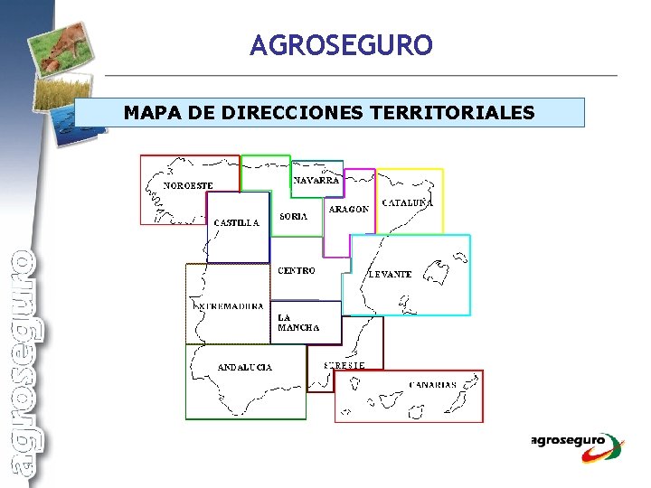 AGROSEGURO MAPA DE DIRECCIONES TERRITORIALES 