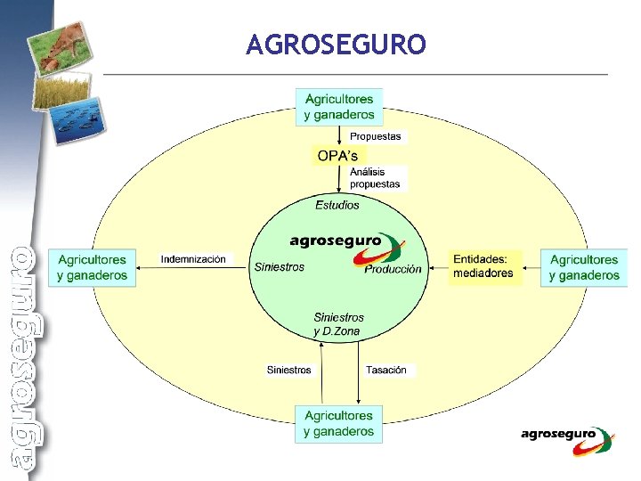 AGROSEGURO 