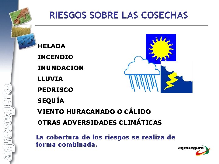 RIESGOS SOBRE LAS COSECHAS HELADA INCENDIO INUNDACION LLUVIA PEDRISCO SEQUÍA VIENTO HURACANADO O CÁLIDO