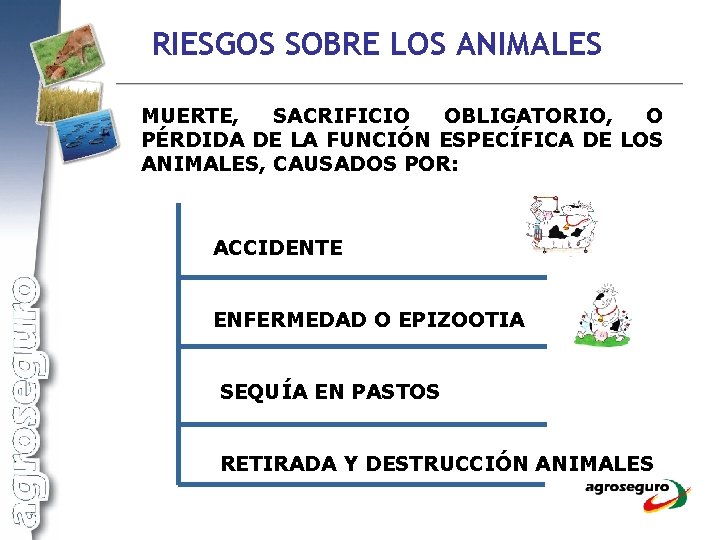 RIESGOS SOBRE LOS ANIMALES MUERTE, SACRIFICIO OBLIGATORIO, O PÉRDIDA DE LA FUNCIÓN ESPECÍFICA DE