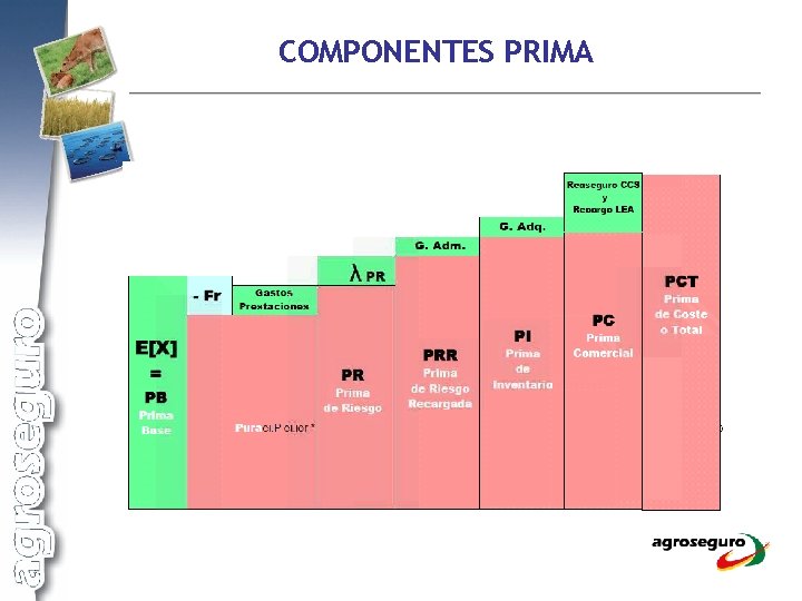 COMPONENTES PRIMA 