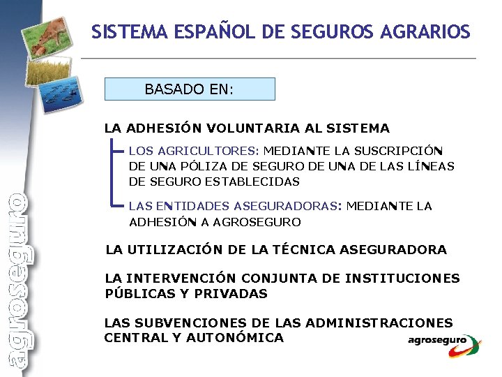 SISTEMA ESPAÑOL DE SEGUROS AGRARIOS BASADO EN: LA ADHESIÓN VOLUNTARIA AL SISTEMA LOS AGRICULTORES:
