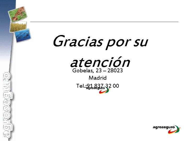 Gracias por su atención Gobelas, 23 – 28023 Madrid Tel. : 91 837 32