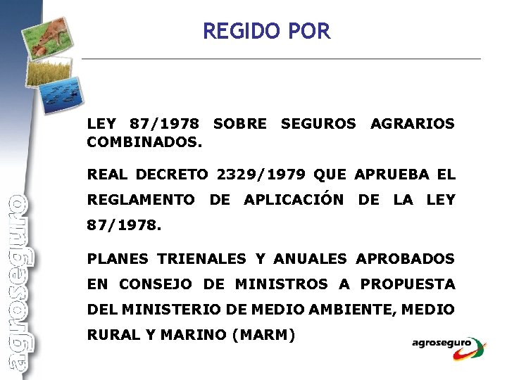 REGIDO POR LEY 87/1978 SOBRE SEGUROS AGRARIOS COMBINADOS. REAL DECRETO 2329/1979 QUE APRUEBA EL