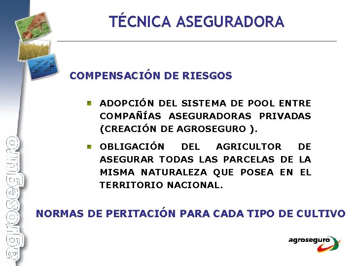 TÉCNICA ASEGURADORA COMPENSACIÓN DE RIESGOS ADOPCIÓN DEL SISTEMA DE POOL ENTRE COMPAÑÍAS ASEGURADORAS PRIVADAS
